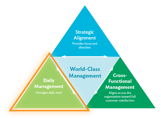 World-Class-Management-Triangle-Orange-callout